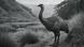 Imagen en blanco y negro de un moa. Imagen en blanco y negro de un moa.