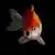 ¿Son los peces más inteligentes de lo que creemos?
