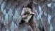 A chick peers through the feathers of a mother hen. A chick peers through the feathers of a mother hen.