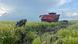 A vietnamese farmer in a rice field near Los Palacios in Cuba with a harvester in the distance A vietnamese farmer in a rice field near Los Palacios in Cuba with a harvester in the distance