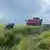 Un tractor rojo en un campo de arroz en Cuba. En primer plano, alguien observa las plantas.