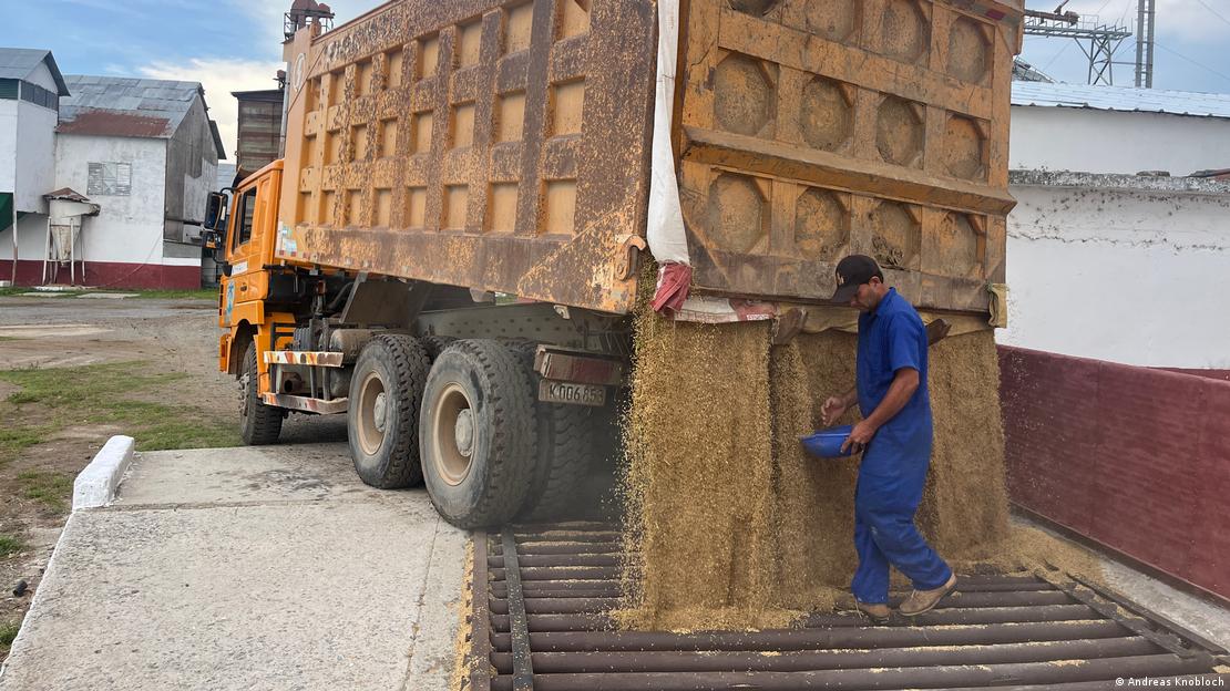 Un hombre vestido con un uniforme azul recoge un poco del arroz que se cae de un camión.
