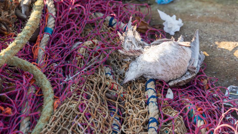 A Solution to "Ghost Nets" in Kenya – DW – 07/24/2025