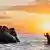 A migrant tries to board a smuggler's inflatable dinghy in an attempt to cross the English Channel off the beach of Gravelines, northern France on July 29, 2025.