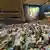 USA New York 2025 | Blick in den Saal der UN-Vollversammlung bei der Konferenz zur Zwei-Staaten-Lösung in New York (29.07.2025)