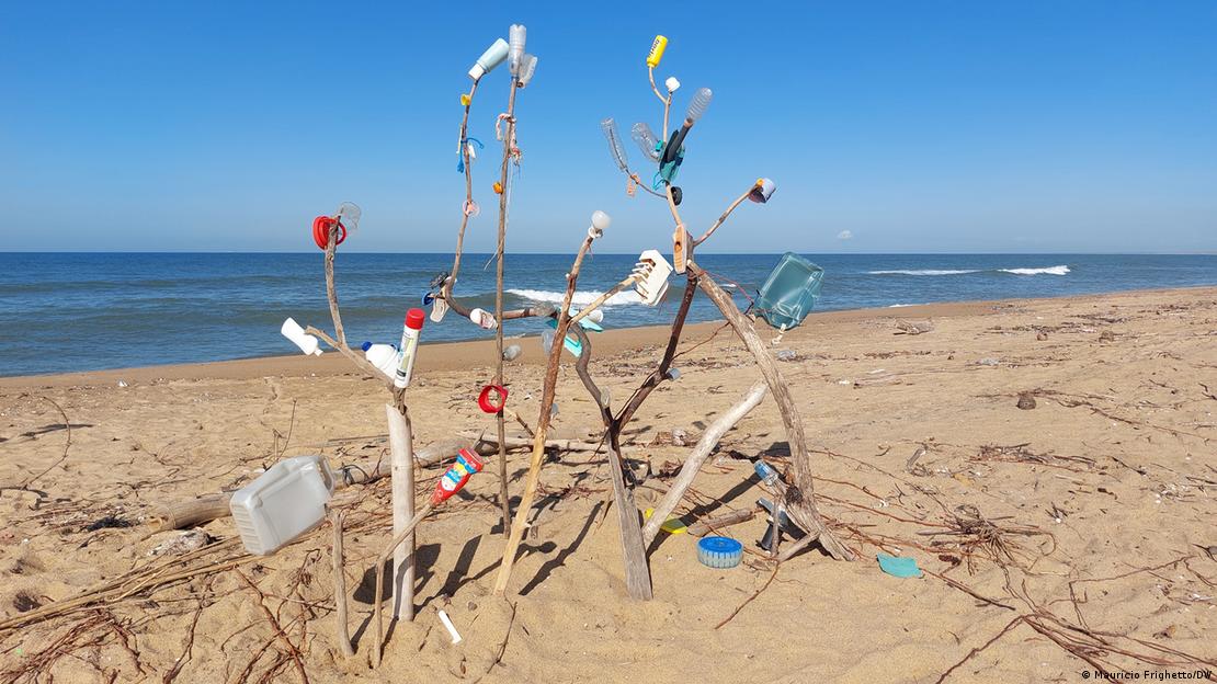 Troncos de madeira com lixo em uma praia