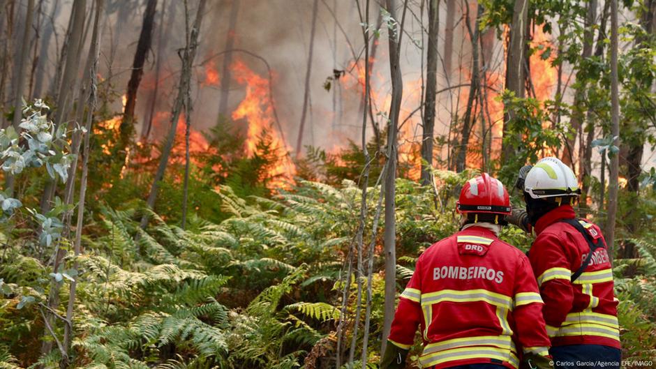 Portugal decreta estado de alerta debido al calor extremo en los próximos días
