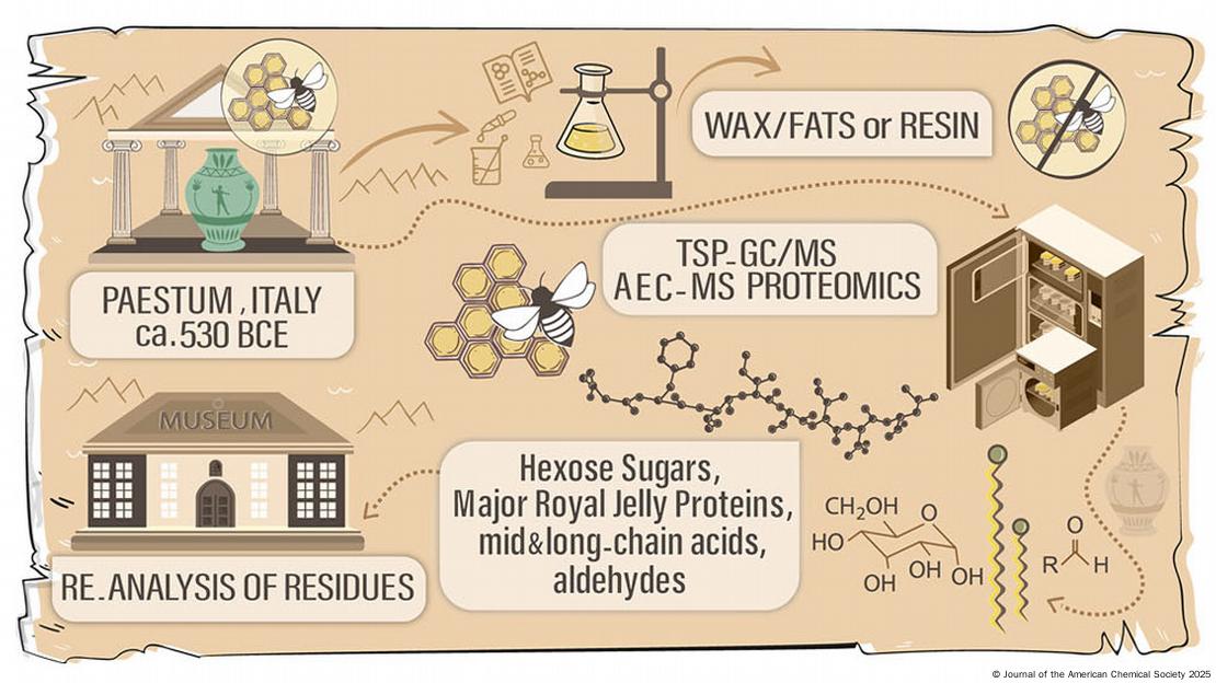 El estudio, publicado en la revista Journal of the American Chemical Society, confirma que las vasijas contenían miel o panales, un símbolo de inmortalidad en la cultura griega antigua.
