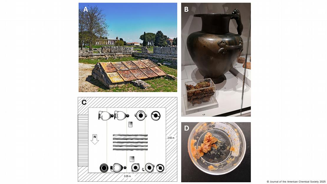(A) Santuario subterráneo en Paestum. (B) Una de las vasijas expuestas junto a una caja de plástico que contiene los residuos en el Museo Ashmolean en 2019. (C) Representación gráfica de la disposición de las vasijas de bronce dentro del santuario, basada en Sestieri 1956. (D) Muestra de los residuos.