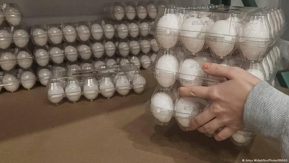 Справа про "золоті яйця" міноборони: НАБУ і САП завершили слідство