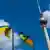 Флаги Украины в Берлине