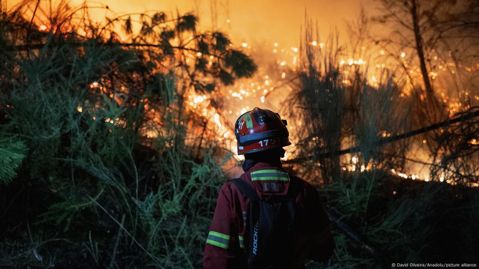 España pide ayuda a la UE para combatir los incendios – DW – 14/08/2025