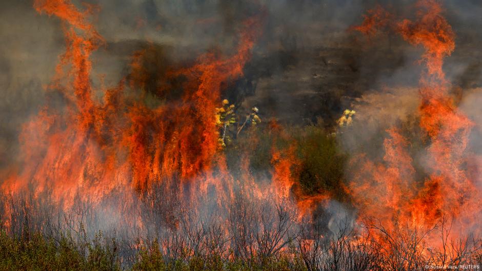 EU struggles on climate plan ahead of Brazil conference  DW  09/18/2025
