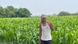 A farmer in a corn field holding a stake A farmer in a corn field holding a stake