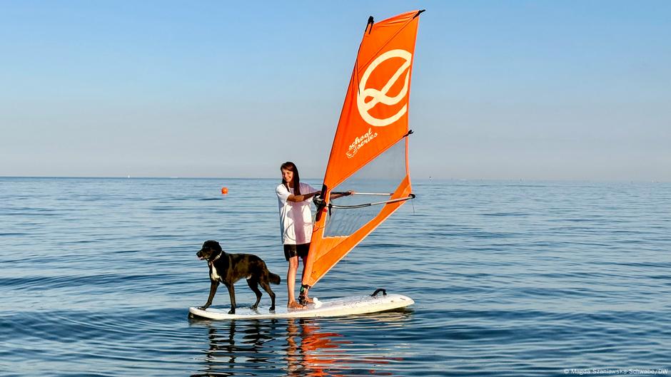 Na plaży z psem? Wakacje z pupilem to przygoda, ale i wyzwanie