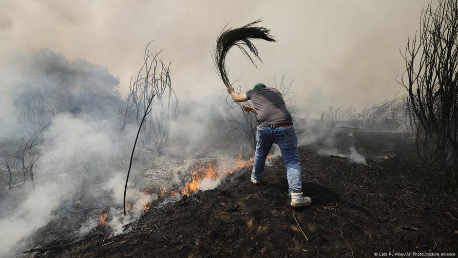 Wildfires fuel air pollution, says UN Report  DW  09/05/2025