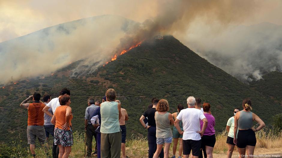 La leña que alimenta el fuego en España: abandono, precariedad y cambio climático