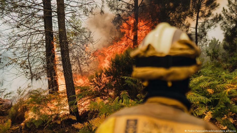 Spain Wildfires - DW News 08/19/2025 - News Directory 3