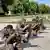 Reservistas del 24.º Regimiento de Infantería de Versalles con armas.