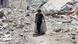 girl drags salvaged items amid destroyed buildings in al-Tuffah neighborhood of Gaza girl drags salvaged items amid destroyed buildings in al-Tuffah neighborhood of Gaza