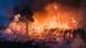 Spanien Ourense 2025 | Hochlodernde Flammen, brennende Bäume und dunkle Rauchwolken Spanien Ourense 2025 | Hochlodernde Flammen, brennende Bäume und dunkle Rauchwolken
