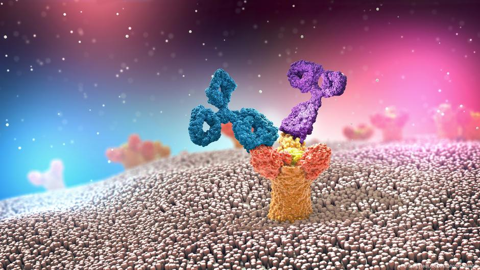 La mutación que podría acabar con las pandemias: así podría funcionar el nuevo antiviral universal