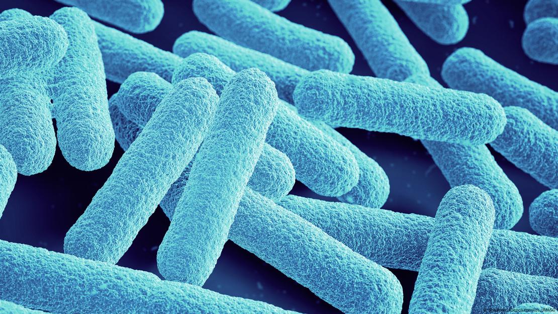 Los investigadores liderados por Wesley Robertson anticipan que la tecnología de Syn57 podría revolucionar la producción industrial de proteínas para medicinas y otros productos biotecnológicos.