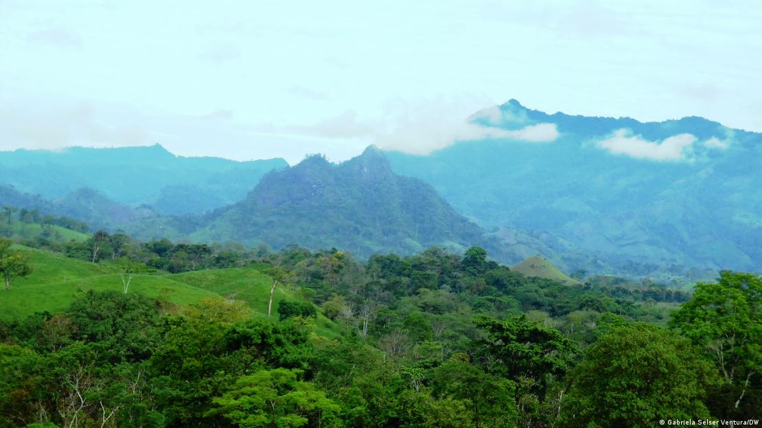 Montañas y selva boscosa en la reserva de biosfera de Bosawás, el "pulmón verde" de Centroamérica, en peligro por la minería china. (Archivo).