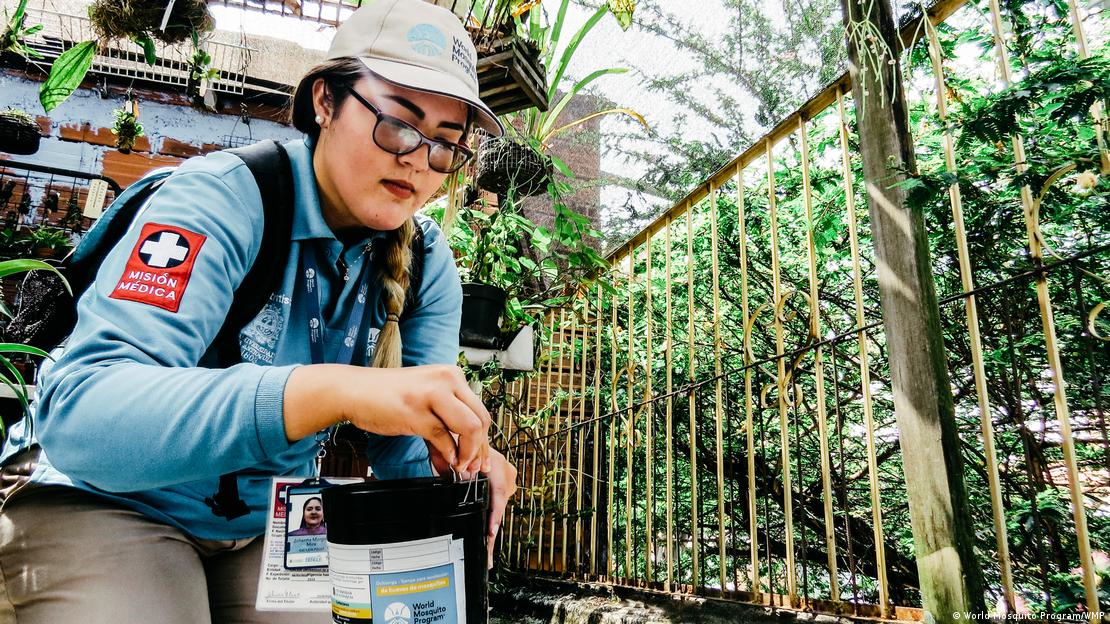 También en países latinoamericanos como Colombia, se llevan a cabo esfuerzos para combatir las plagas de diversas especies de mosquitos, algunas de las cuales propagan virus del dengue, el zika y otras enfermedades. También en países latinoamericanos como Colombia, se llevan a cabo esfuerzos para combatir las plagas de diversas especies de mosquitos, algunas de las cuales propagan virus del dengue, el zika y otras enfermedades.