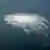 Gas bubbles from the Nord Stream 2 leak reaching the surface of the Baltic Sea near Bornholm, Denmark, September 27, 2022