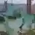Imagen del puente sobre el río Amarillo cuya parte central cayó.