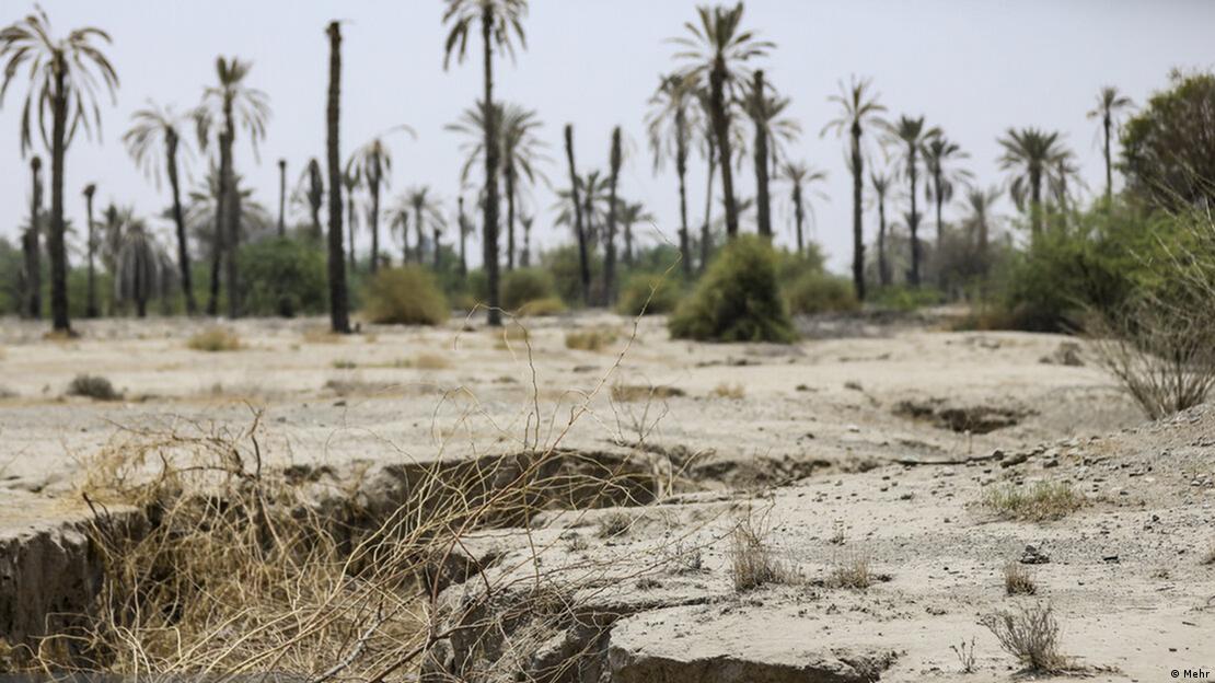 Paisaje con palmeras y la tierra totalemente seca.