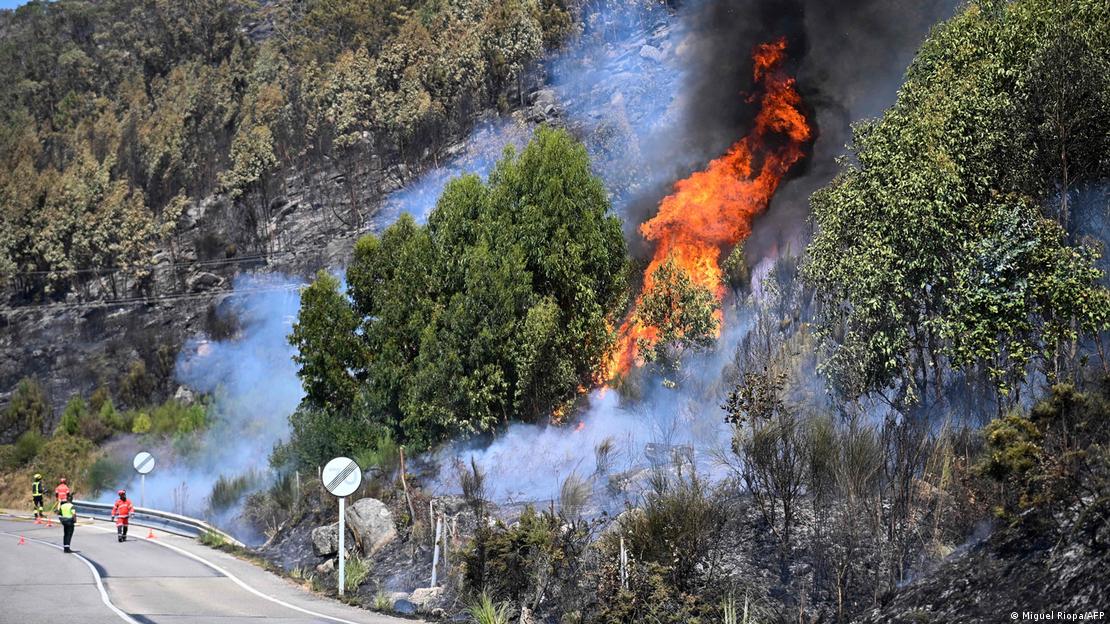 Incêndio ao lado de rodovia 