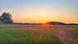 Sonnenuntergang, im Vordergrund eine Sommerwiese Sonnenuntergang, im Vordergrund eine Sommerwiese
