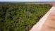 An aerial view shows the border between the Xingu Indigenous Land and cleared farmland in Brazil on August 2, 2025 An aerial view shows the border between the Xingu Indigenous Land and cleared farmland in Brazil on August 2, 2025