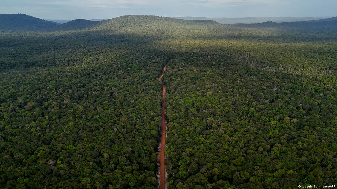 Paisaje natural desde el aire, con una selva que lo cubre, y el camino Linden-Lethem, en el territorio del Esequibo, Guyana.