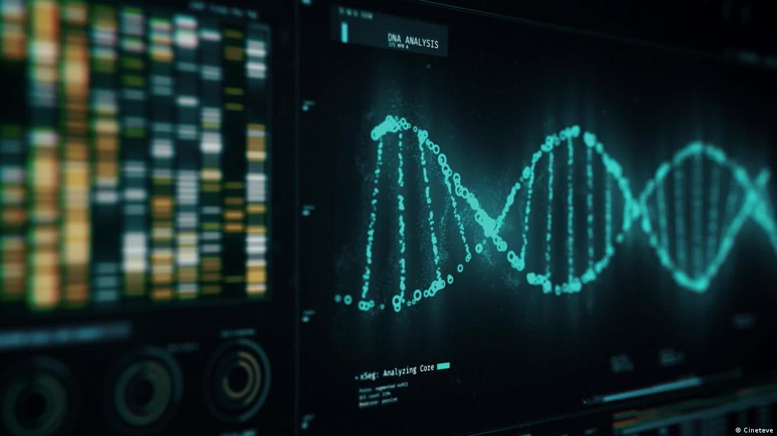 Modelos matemático indican que la herencia genética tendría un papel central en el envejecimiento humano, aunque expertos piden cautela con las cifras.