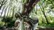 Скульптура Тони Крэгга "Distant Cousin, 2006" в парке "Вальдфриден" в Вуппертале Скульптура Тони Крэгга "Distant Cousin, 2006" в парке "Вальдфриден" в Вуппертале