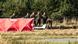 Cordoned off area and part of discovered drone is seen in the village of Mniszkow in central Poland, where one of the Russian drones that breached Polish airspace was discovered on September 10, 2025 Cordoned off area and part of discovered drone is seen in the village of Mniszkow in central Poland, where one of the Russian drones that breached Polish airspace was discovered on September 10, 2025