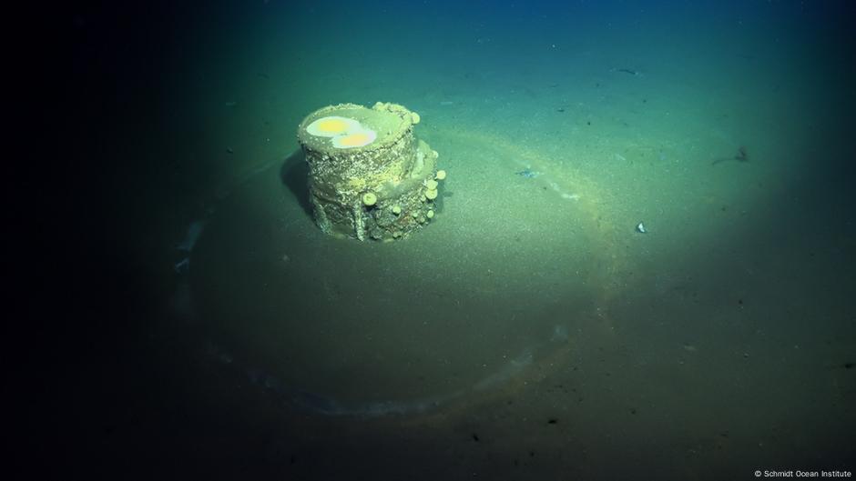 Científicos están finalmente descifrando el misterio de los barriles tóxicos en el fondo marino de Los Ángeles