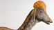 La réplica impresa en 3D del cráneo de Corythosaurus (imagen) transformó las vibraciones humanas en misteriosos sonidos prehistóricos.