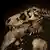 Los enigmáticos sonidos del "T-Rex" podrían revelarse en el futuro, si los científicos logran superar los desafíos de su compleja estructura craneal.