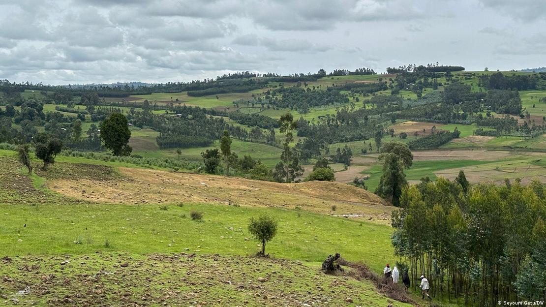 ኦሮምያ ክልል