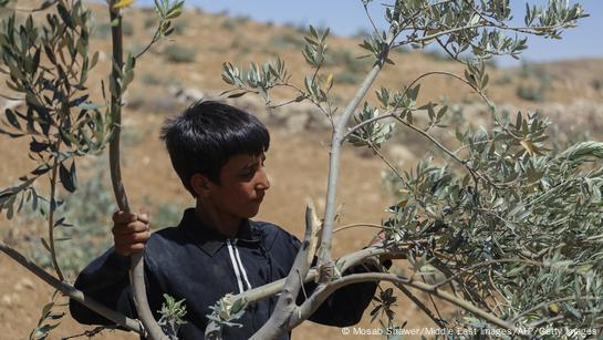 ONU: “violaciones” de Hamás e Israel en Gaza pese a tregua – DW
