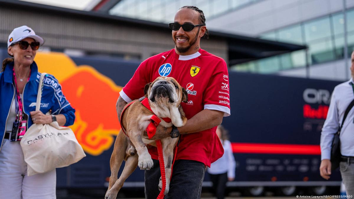 Formel 1: Lewis Hamilton verliert besten Freund Roscoe