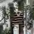 A striped shirt on a hanger over the branch of a tree