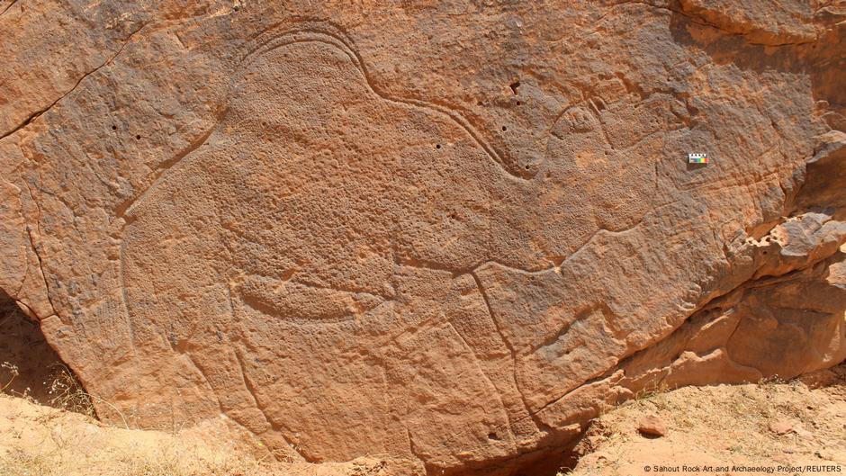 Descubren en Arabia Saudí arte rupestre de camellos gigante