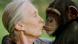 Goodall besa a la chimpancé Tess en el Santuario de Chimpancés Sweetwaters, en Kenia. Goodall besa a la chimpancé Tess en el Santuario de Chimpancés Sweetwaters, en Kenia.