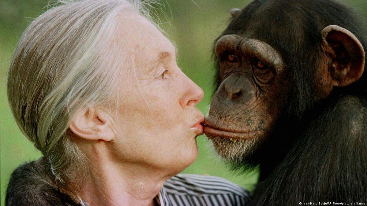 Jane Goodall: una vida dedicada a los chimpancés – DW – 03/10/2025