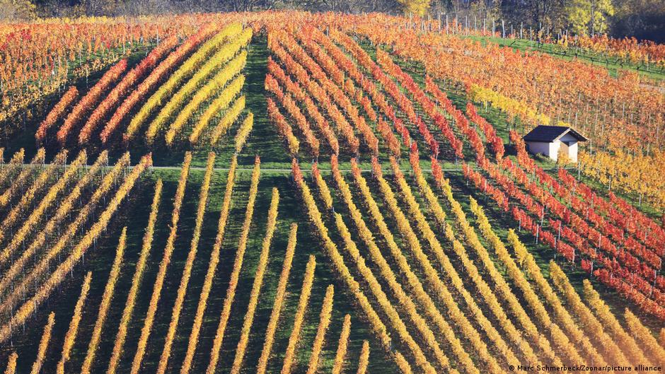 How climate change is reshaping the world's wine map